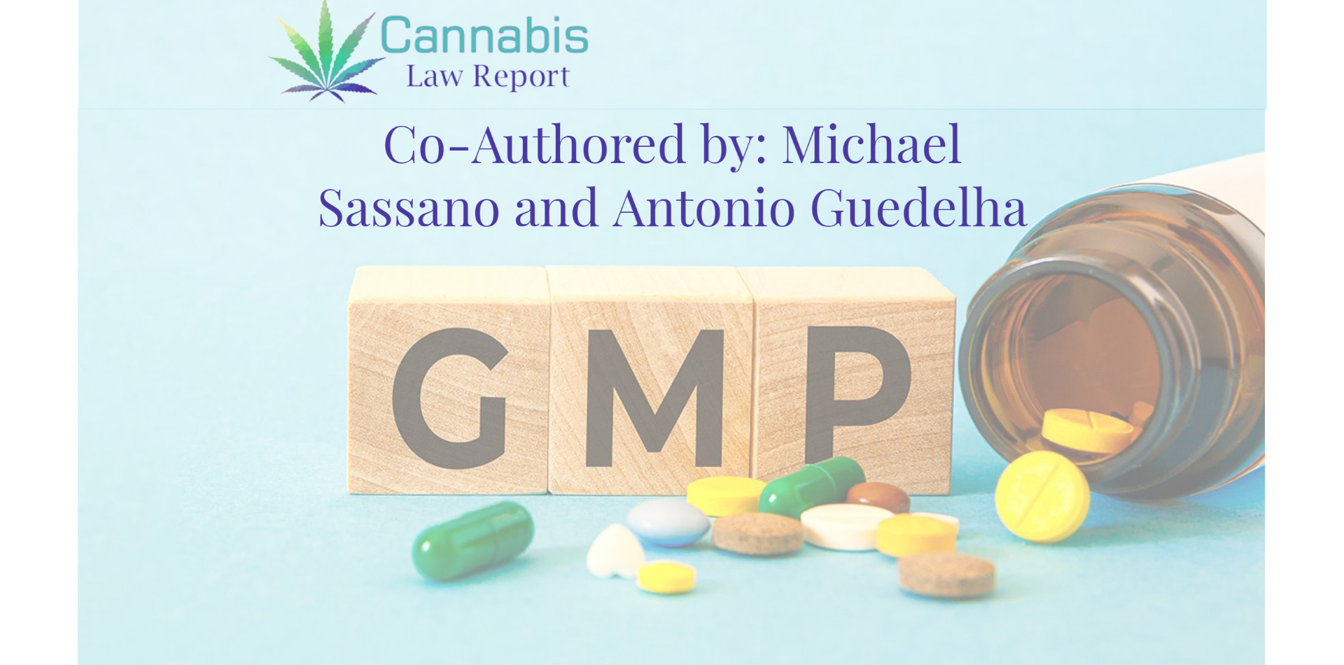 Michael Sassano &amp; Antonio Guedelha: GMP# 17: GMP Market Forecasting and Budget Management
