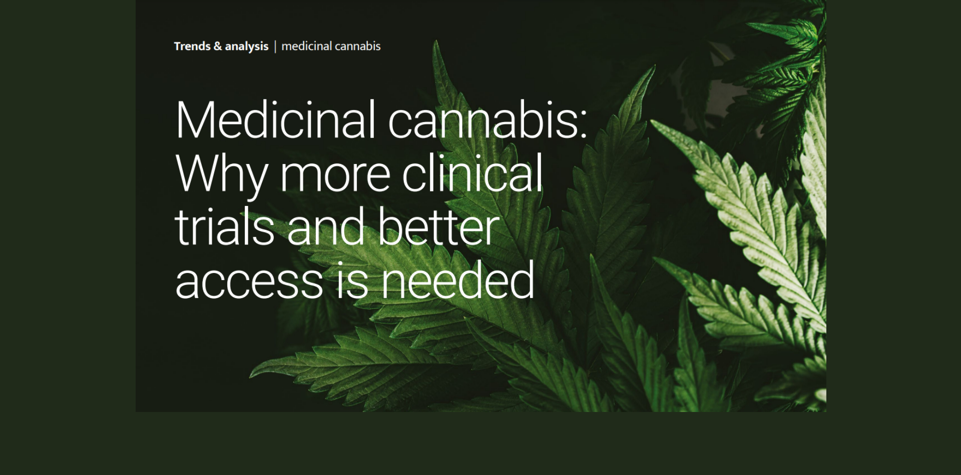 Medicinal cannabis: Why more clinical trials and better access is needed