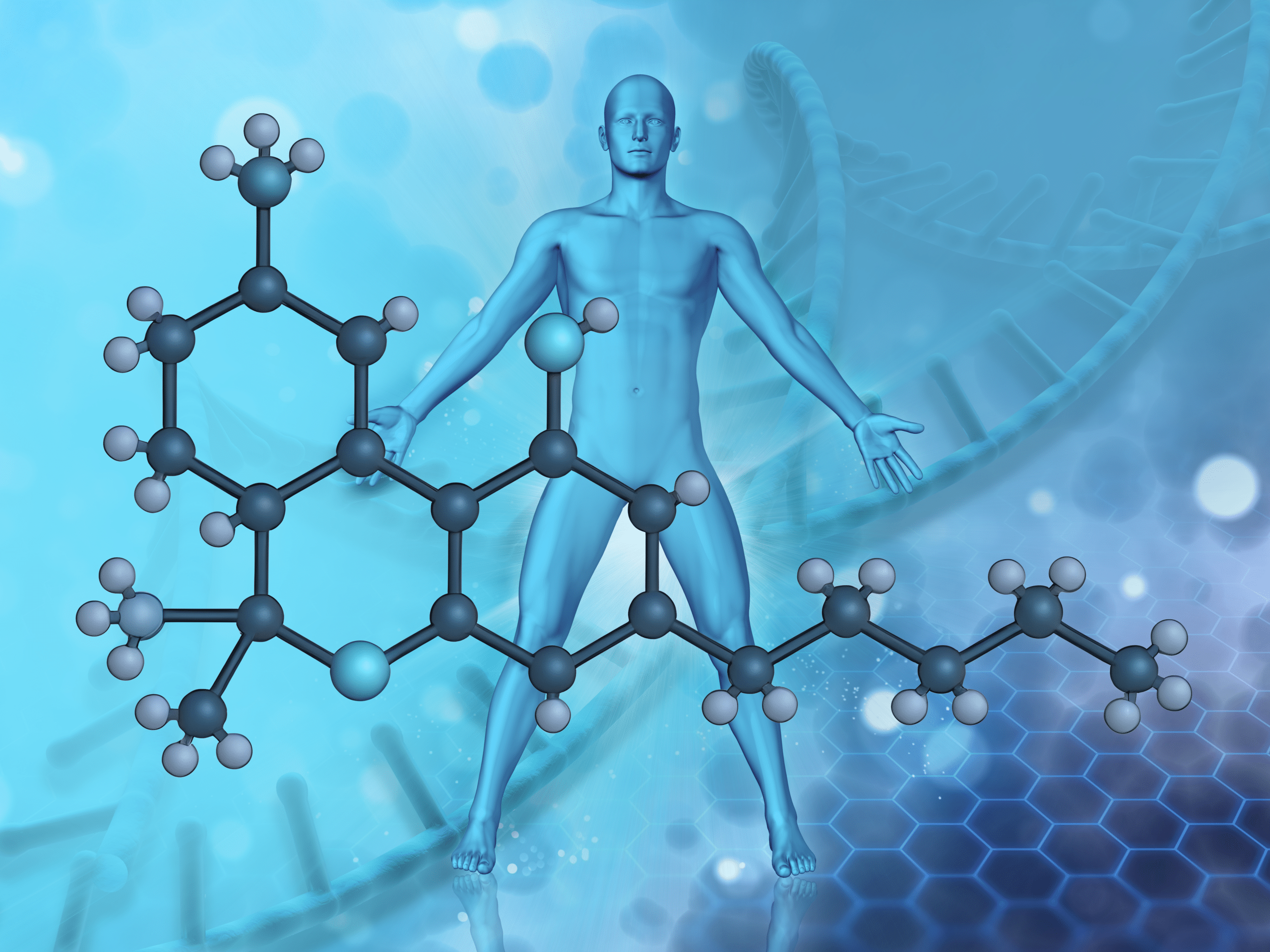Demystifying THC: How Tetrahydrocannabinol Works in the Body